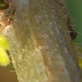 �����^�i