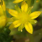 �^�C�g�S��