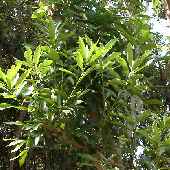 �}�e�o�V�C