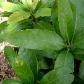 �}�e�o�V�C