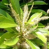 �}�e�o�V�C