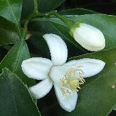 �~�J����