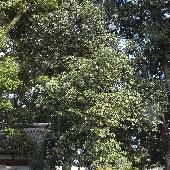 �~�~�Y�o�C