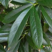 �~�~�Y�o�C