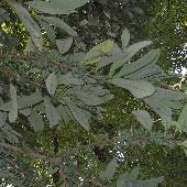 �~�~�Y�o�C