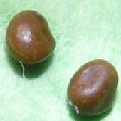 �~���R�O�T