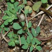 �~���R�O�T