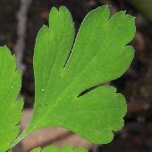 �����T�L�P�}��