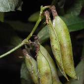 �i���e���n�M