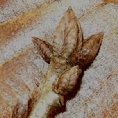 �i���K�V��