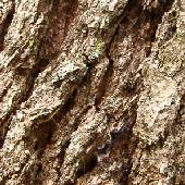 �i���K�V��