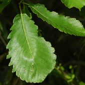 �i���K�V��