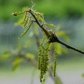 �i���K�V��