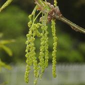 �i���K�V��