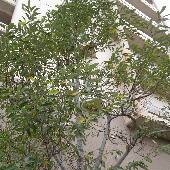 �I�K�^�}�m�L