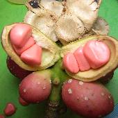 �I�K�^�}�m�L