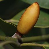 �I�K�^�}�m�L