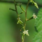 �I�j�h�R��