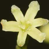 �I�j�h�R��