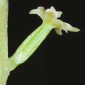 �I�j�h�R��