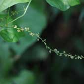 �I�j�h�R��