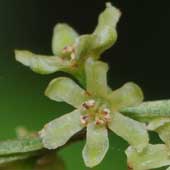 �I�j�h�R��