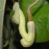 �����E�L���E�E�}�m�X�Y�N�T