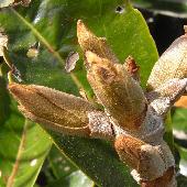 �T���S�W��