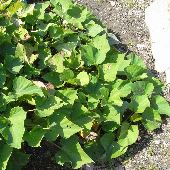 �T�c�}�C��