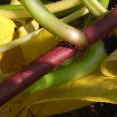 �T�c�}�C��