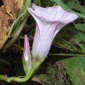 �T�c�}�C��