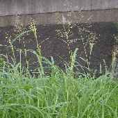 �Z�C�o�������R�V