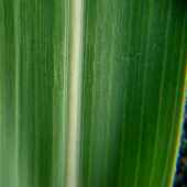 �Z�C�o�������R�V