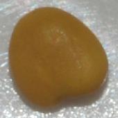 �V���c���N�T