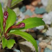 �V�V������