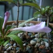 �V�V������