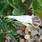 �V�V������