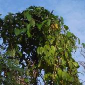 �\�����m�C��