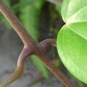 �\�����m�C��