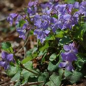 �^�`�c�{�X�~����