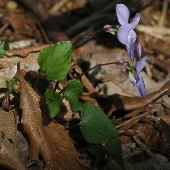 �^�`�c�{�X�~����