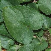 �^�`�c�{�X�~����