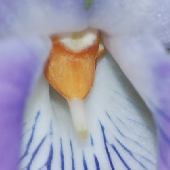 �^�`�c�{�X�~����