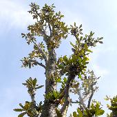 �^�C�T���{�N