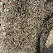 �^�C�T���{�N