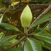 �^�C�T���{�N