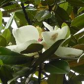 �^�C�T���{�N