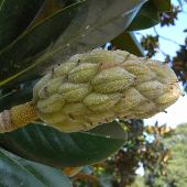 �^�C�T���{�N