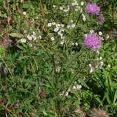 �^�����\�E