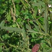 �^�����\�E